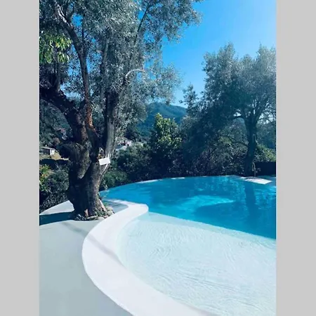 Azzedda Loft 110M2 Fully Privative Salted Pool 2Br * Olivese